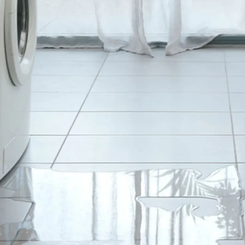 Appliance Leak Cleanup in Longview, NC