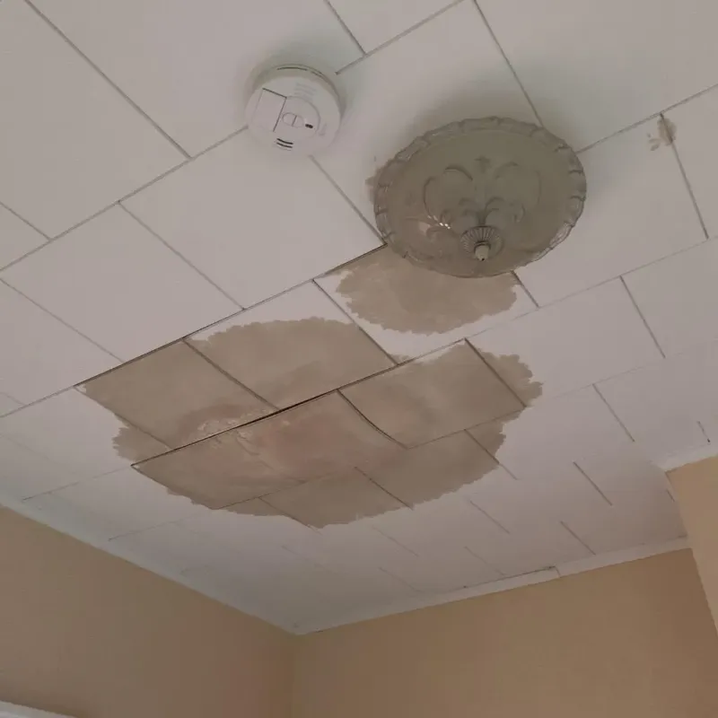 Ceiling Water Damage Repair in Longview, NC