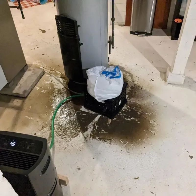 Sewage Backup Cleanup Service in Longview, NC
